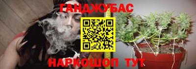 соль ск Тара