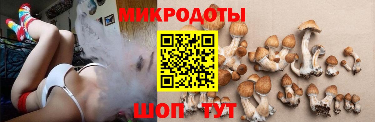 Псилоцибиновые грибы GOLDEN TEACHER  Вход с VPN  Брянск 