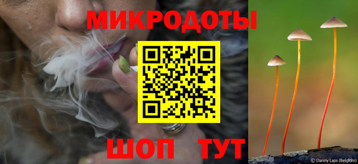 Псилоцибиновые грибы Psilocybine cubensis Брянск